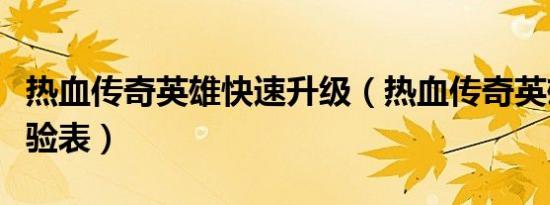 热血传奇英雄快速升级（热血传奇英雄升级经验表）