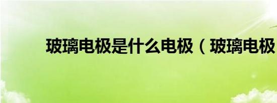 玻璃电极是什么电极（玻璃电极）