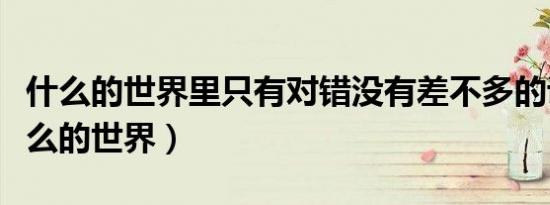 什么的世界里只有对错没有差不多的说法（什么的世界）