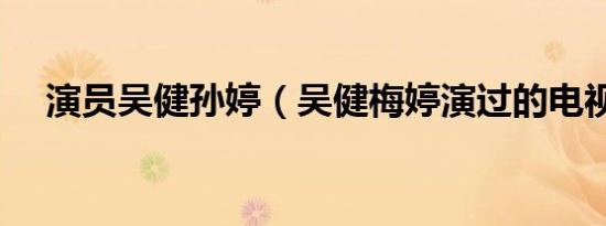 演员吴健孙婷（吴健梅婷演过的电视剧）