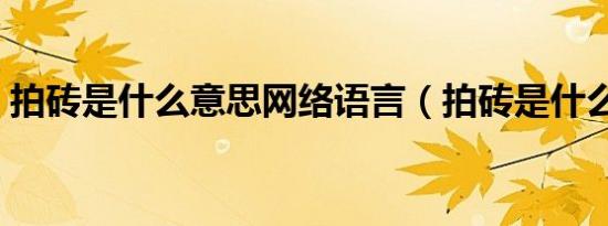 拍砖是什么意思网络语言（拍砖是什么意思）