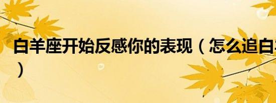 白羊座开始反感你的表现（怎么追白羊座女生）