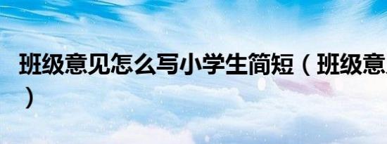 班级意见怎么写小学生简短（班级意见怎么写）