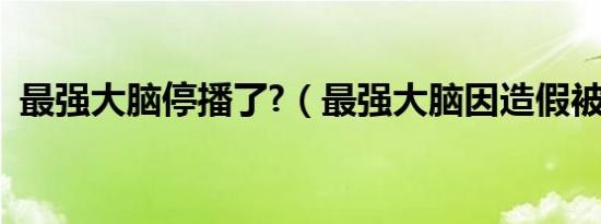 最强大脑停播了?（最强大脑因造假被停播）