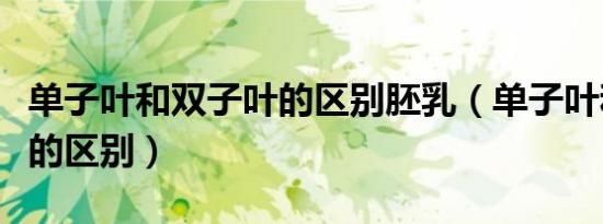 单子叶和双子叶的区别胚乳（单子叶和双子叶的区别）
