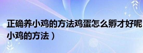 正确养小鸡的方法鸡蛋怎么孵才好呢（正确养小鸡的方法）