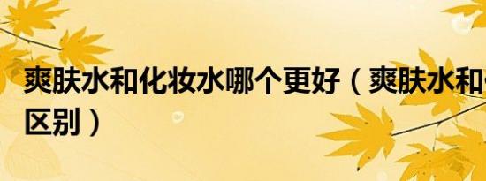 爽肤水和化妆水哪个更好（爽肤水和化妆水的区别）