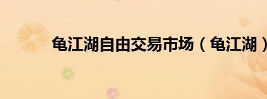 龟江湖自由交易市场（龟江湖）
