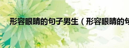 形容眼睛的句子男生（形容眼睛的句子）