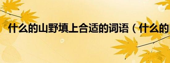 什么的山野填上合适的词语（什么的山野）