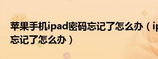 苹果手机ipad密码忘记了怎么办（ipad密码忘记了怎么办）