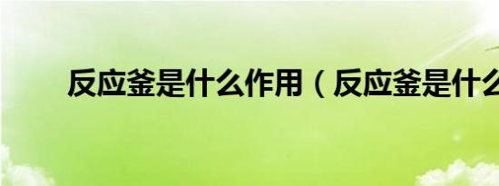 反应釜是什么作用（反应釜是什么）
