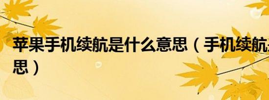 苹果手机续航是什么意思（手机续航是什么意思）
