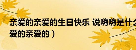 亲爱的亲爱的生日快乐 说嗨嗨是什么歌（亲爱的亲爱的）