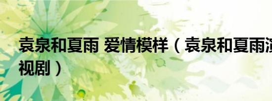 袁泉和夏雨 爱情模样（袁泉和夏雨演过的电视剧）