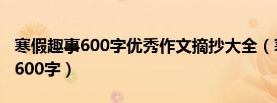寒假趣事600字优秀作文摘抄大全（寒假趣事600字）