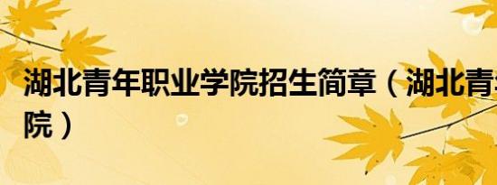 湖北青年职业学院招生简章（湖北青年职业学院）