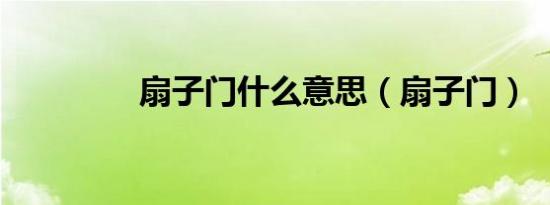扇子门什么意思（扇子门）