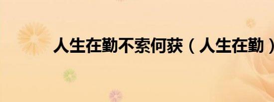 人生在勤不索何获（人生在勤）