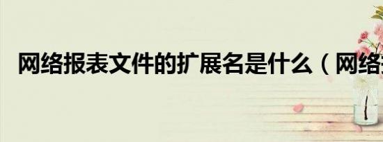 网络报表文件的扩展名是什么（网络报表）