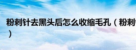 粉刺针去黑头后怎么收缩毛孔（粉刺针去黑头）