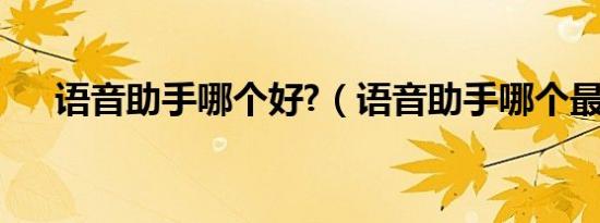 语音助手哪个好?（语音助手哪个最好）
