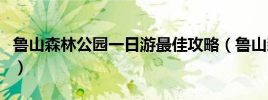 鲁山森林公园一日游最佳攻略（鲁山森林公园）