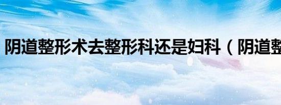 阴道整形术去整形科还是妇科（阴道整形术）