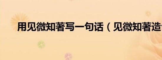 用见微知著写一句话（见微知著造句）