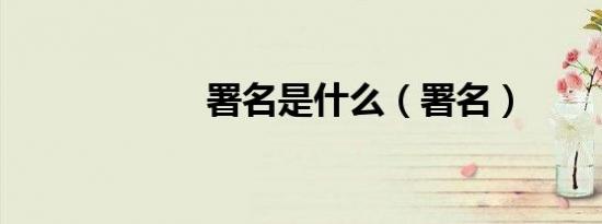 署名是什么（署名）