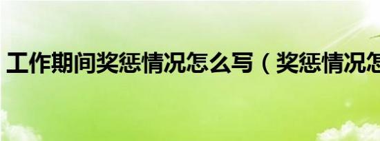 工作期间奖惩情况怎么写（奖惩情况怎么写）