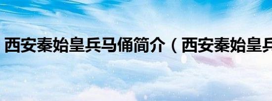 西安秦始皇兵马俑简介（西安秦始皇兵马俑）