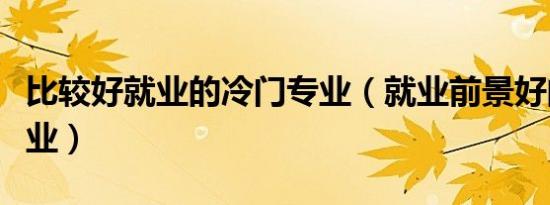 比较好就业的冷门专业（就业前景好的冷门专业）