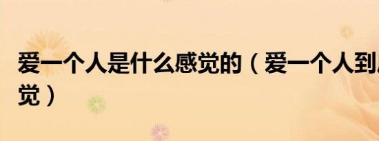 爱一个人是什么感觉的（爱一个人到底什么感觉）