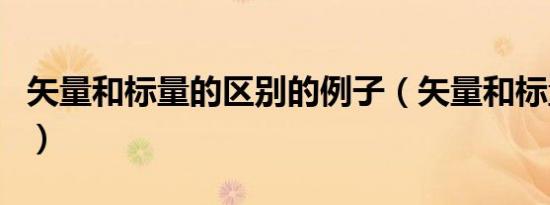 矢量和标量的区别的例子（矢量和标量的区别）