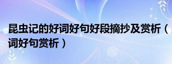 昆虫记的好词好句好段摘抄及赏析（昆虫记好词好句赏析）