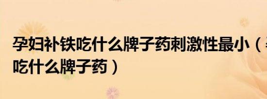 孕妇补铁吃什么牌子药刺激性最小（孕妇补铁吃什么牌子药）