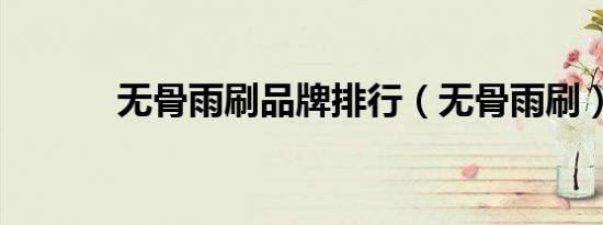 无骨雨刷品牌排行（无骨雨刷）