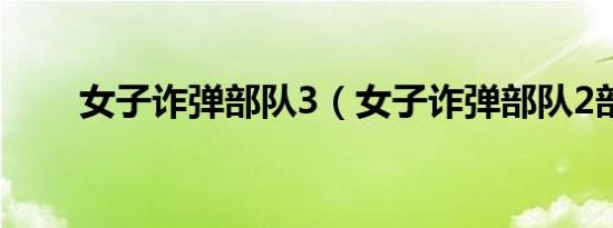 女子诈弹部队3（女子诈弹部队2部）