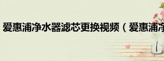 爱惠浦净水器滤芯更换视频（爱惠浦净水器）