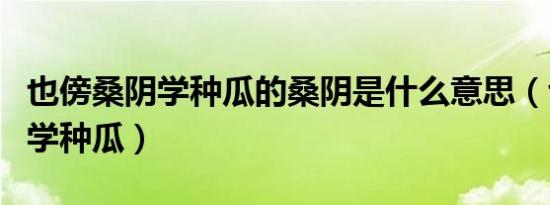 也傍桑阴学种瓜的桑阴是什么意思（也傍桑阴学种瓜）