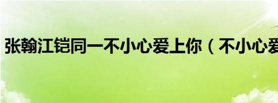 张翰江铠同一不小心爱上你（不小心爱上你）
