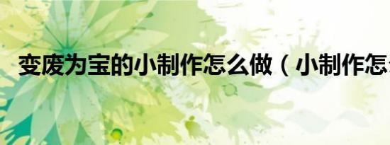 变废为宝的小制作怎么做（小制作怎么做）