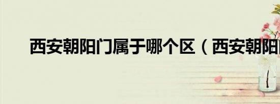 西安朝阳门属于哪个区（西安朝阳门）