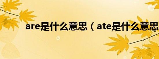 are是什么意思（ate是什么意思）