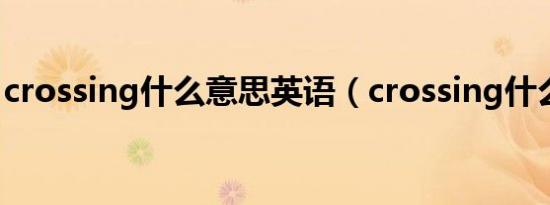 crossing什么意思英语（crossing什么意思）