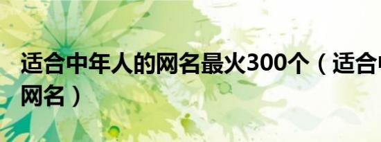 适合中年人的网名最火300个（适合中年人的网名）