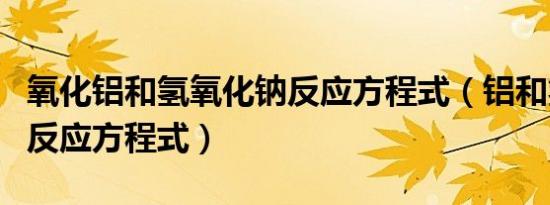 氧化铝和氢氧化钠反应方程式（铝和氢氧化钠反应方程式）