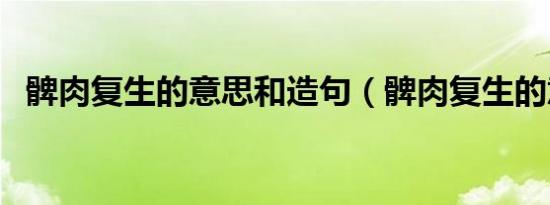 髀肉复生的意思和造句（髀肉复生的意思）