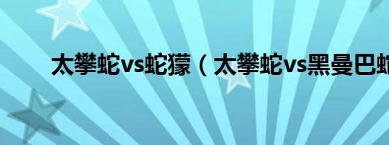 太攀蛇vs蛇獴（太攀蛇vs黑曼巴蛇）